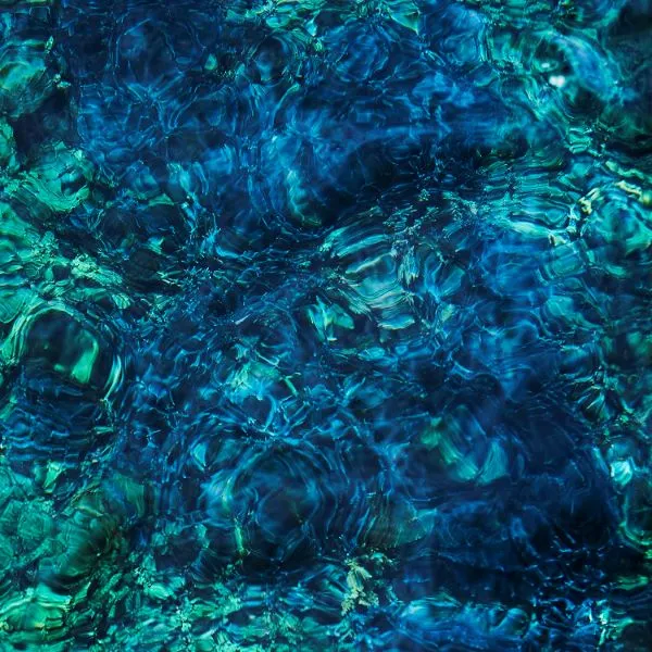 青葉市子 / LUMINESCENT CREATURES