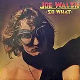 JOE WALSH / SO WHAT