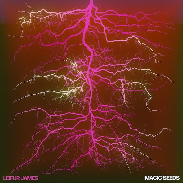 LEIFUR JAMES / MAGIC SEEDS 