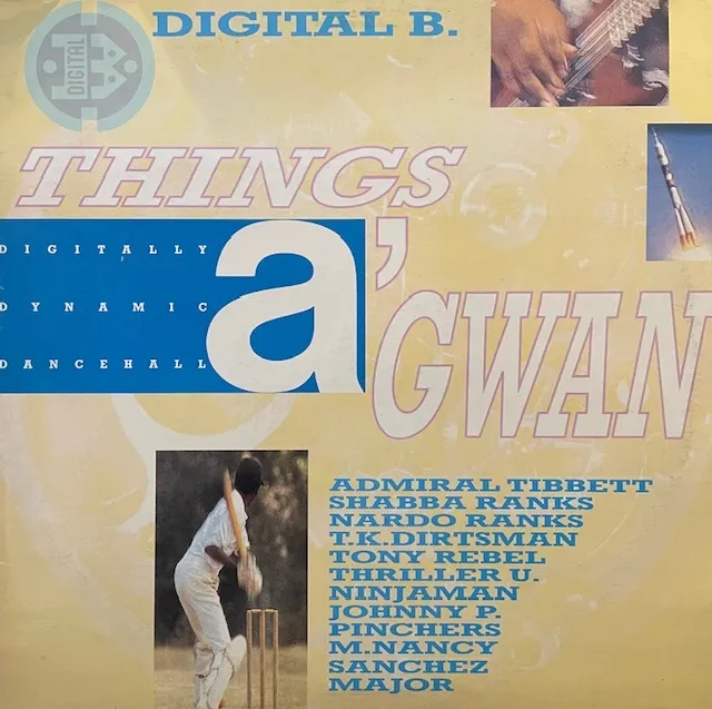 VARIOUS (SANCHEZ、NARDO RANKS) / THINGS A' GWAN