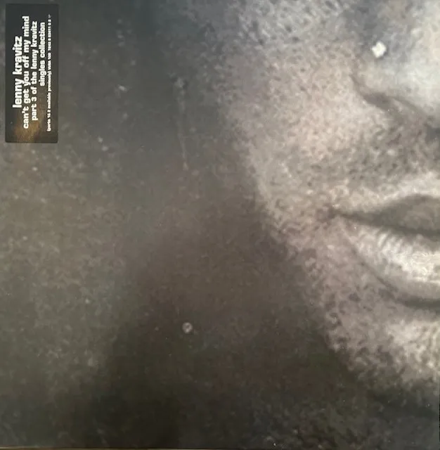 LENNY KRAVITZ / CAN'T GET YOU OFF MY MIND