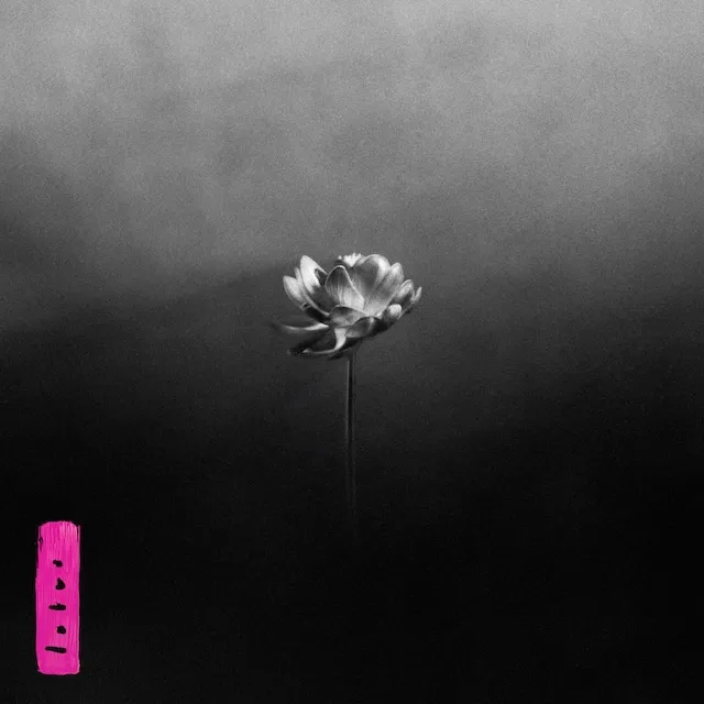 LITTLE SIMZ / LOTUS