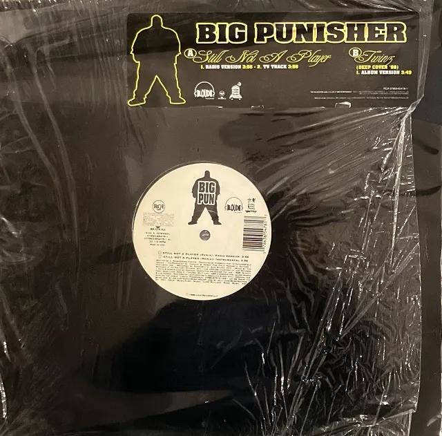 BIG PUNISHER / STILL NOT A PLAYER