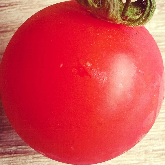 POMODOROSA / SAME