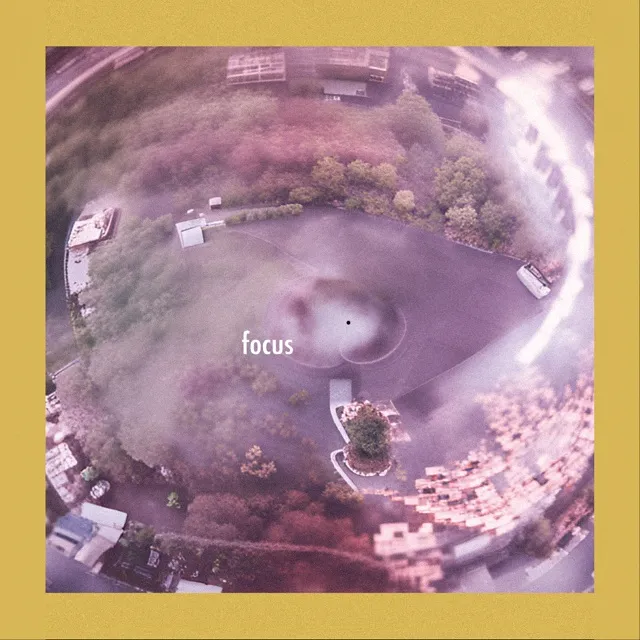 SETAGAYAGENICO / FOCUS