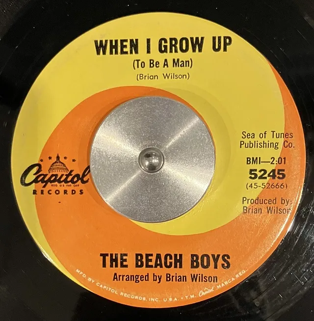 BEACH BOYS / WHEN I GROW UP (TO BE A MAN)