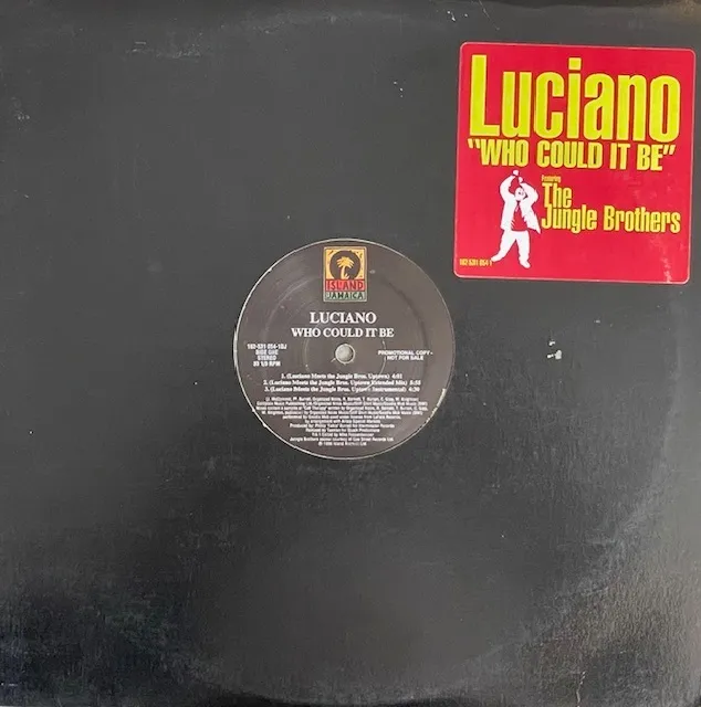 LUCIANO FEAT. JUNGLE BROTHERS / WHO COULD IT BE