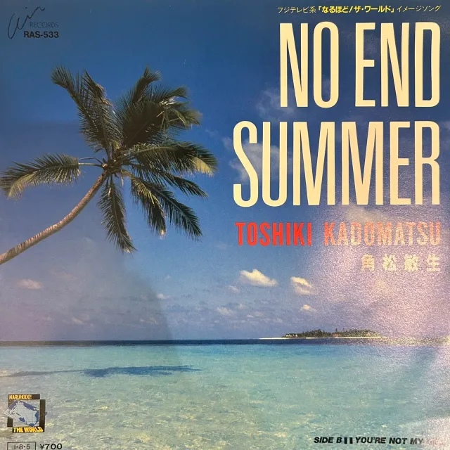 角松敏生 / NO END SUMMER