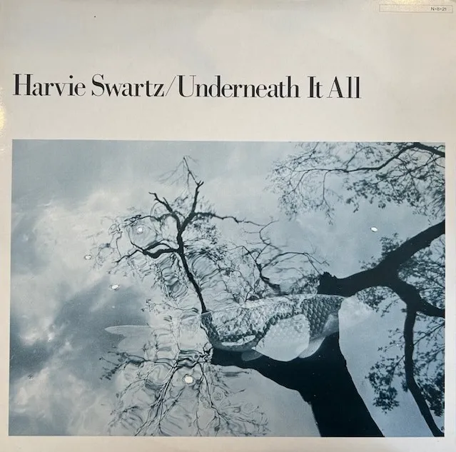 HARVIE SWARTZ / UNDERNEATH IT ALL
