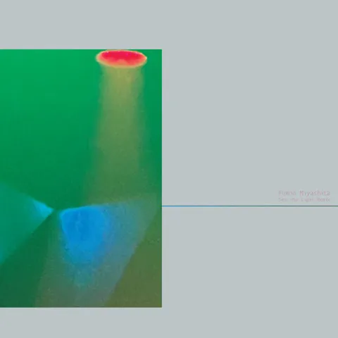 宮下富実夫 (FUMIO MIYASHITA) / SEE THE LIGHT REMIX