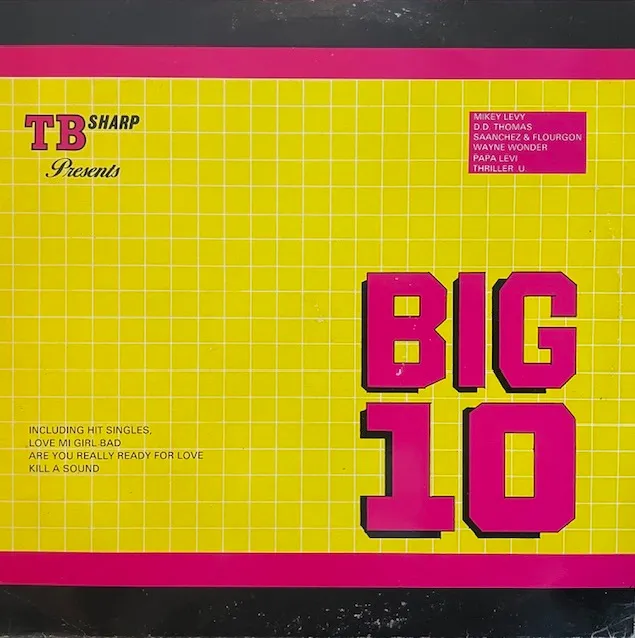 VARIOUS (SANCHEZ & FLOURGON) / BIG 10