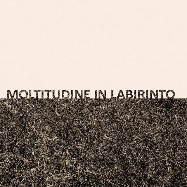 GIGI MASIN & GIUSEPPE CAPRIOLI / MOLTITUDINE IN LABIRINTO (CLEAR VINYL)