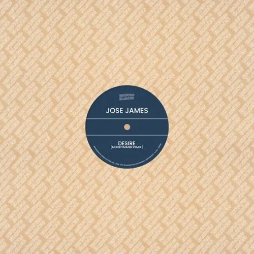 JOSE JAMES ／ BEN WESTBEECH / BROWNSWOOD RECORDINGS REMIX EDITION 005