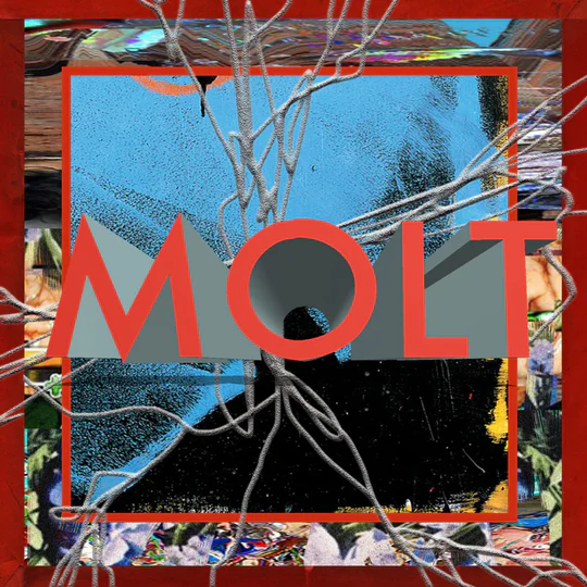MOLT / SAME