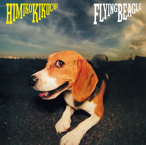 菊池ひみこ / FLYING BEAGLE