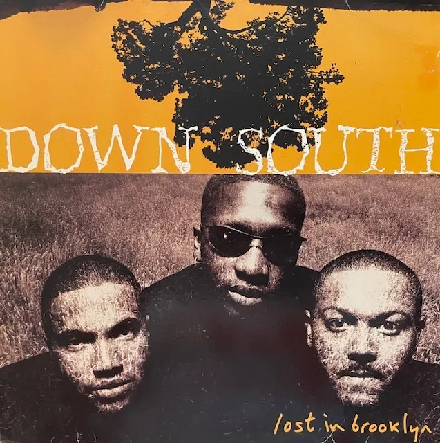DOWN SOUTH / LOST IN BROOKLYN