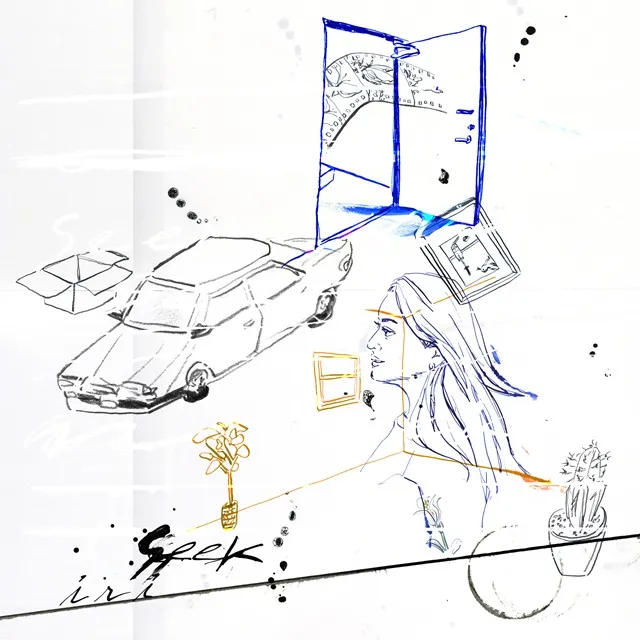 【レコード予約】 IRI / SEEK
