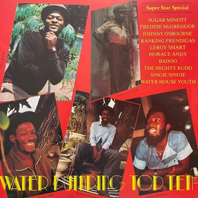 VARIOUS (SUGAR MINOTT、FREDDIE MCGREGOR) / WATER PUMPING TOP TEN