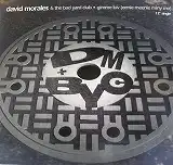 DAVID MORALES & THE BAD YARD CLUB / GIMME LUV