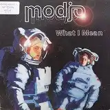 MODJO / WHAT I MEANΥʥ쥳ɥ㥱å ()