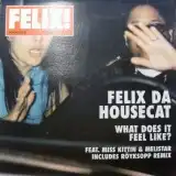 FELIX DA HOUSECAT / WHAT DOES IT FEEL LIKE?