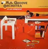MINI GROOVE ORCHESTRA / ARE YOU MINIGROOVED