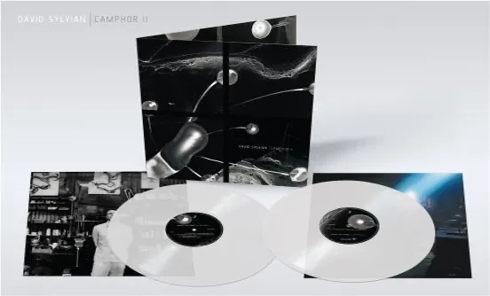 DAVID SYLVIAN / CAMPHOR II