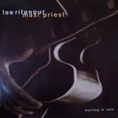 MAXI PRIEST / WAITING IN VAINΥʥ쥳ɥ㥱å ()