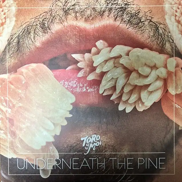 TORO Y MOI / UNDERNEATH THE PINEΥʥ쥳ɥ㥱å ()