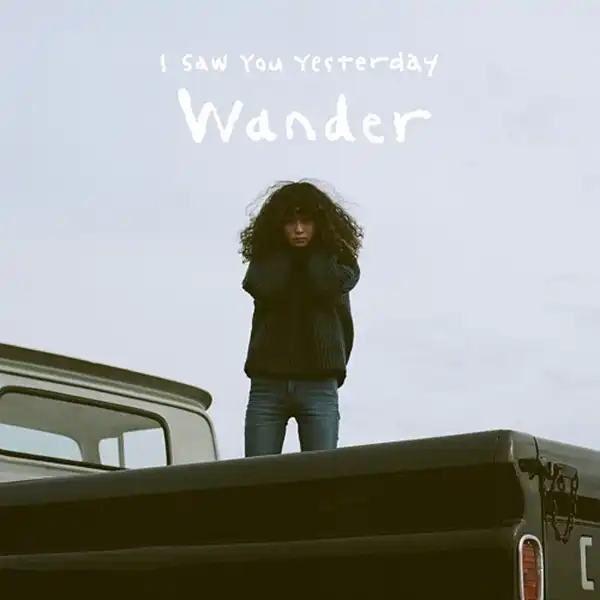 I SAW YOU YESTERDAY / WANDER