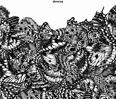 DOWNY / 第七作品集『無題』