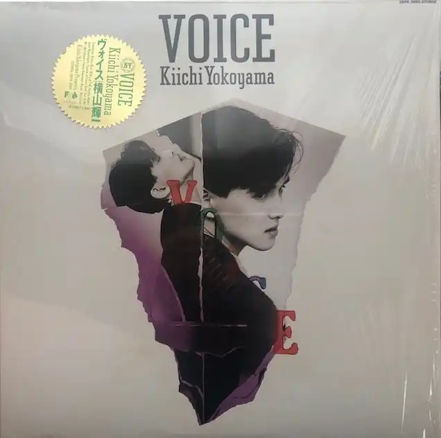 横山輝一 / VOICE