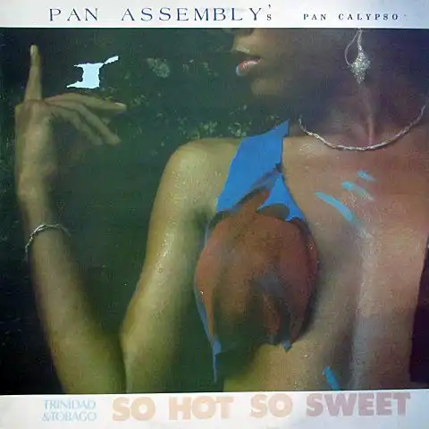 PAN ASSEMBLY / SO HOT SO SWEET