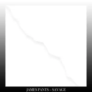 JAMES PANTS / SAVAGE 
