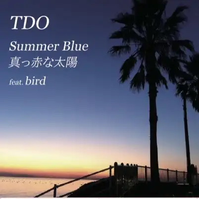 TDO / SUMMER BLUE FEAT. BIRD