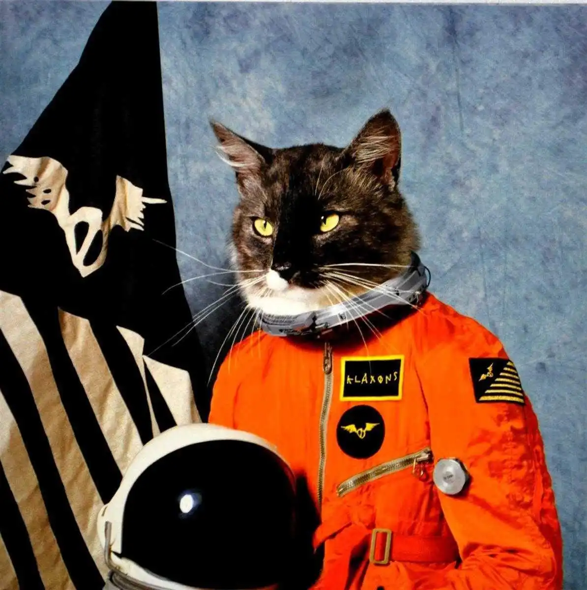 KLAXONS / SURFING THE VOID 