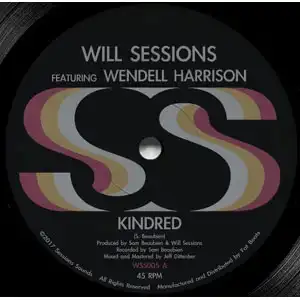 WILL SESSIONS / KINDRED  POLYESTER PEOPLE