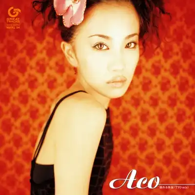 ACO / 揺れる体温 (TYO MIX)