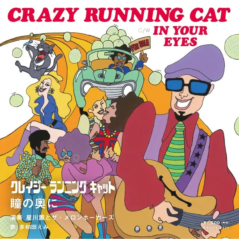 ȥ󡦥ۡ / CRAZY RUNNING CAT