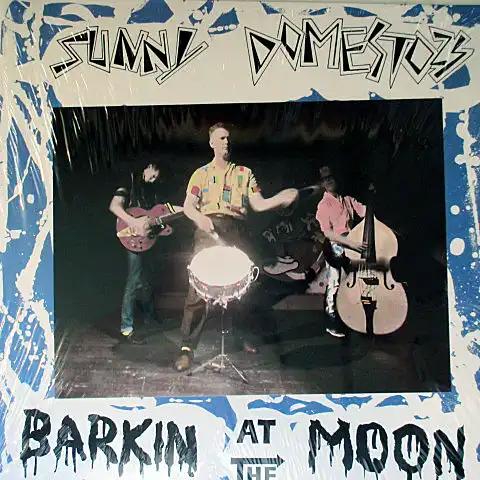 SUNNY DOMESTOZS / BARKIN AT THE MOON
