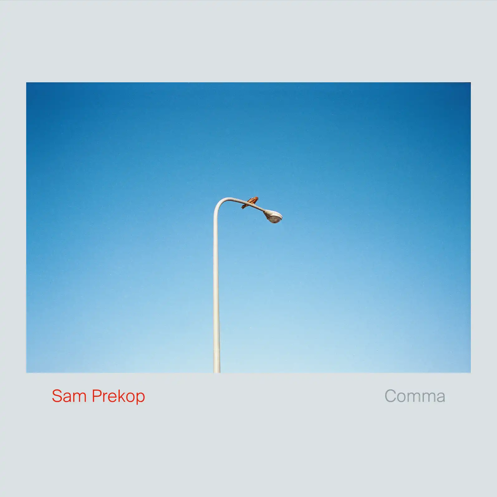 SAM PREKOP / COMMAΥʥ쥳ɥ㥱å ()