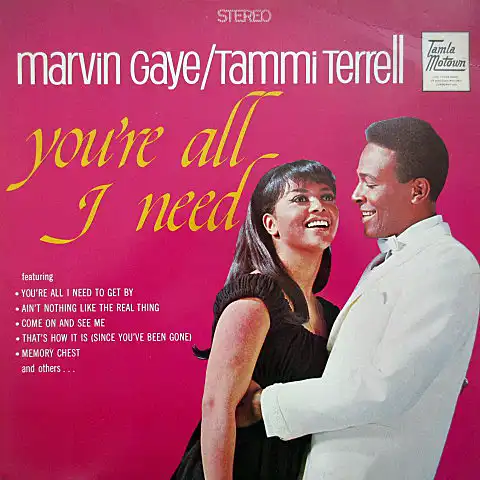 MARVIN GAYE & TAMMI TERRELL / YOURE ALL I NEED