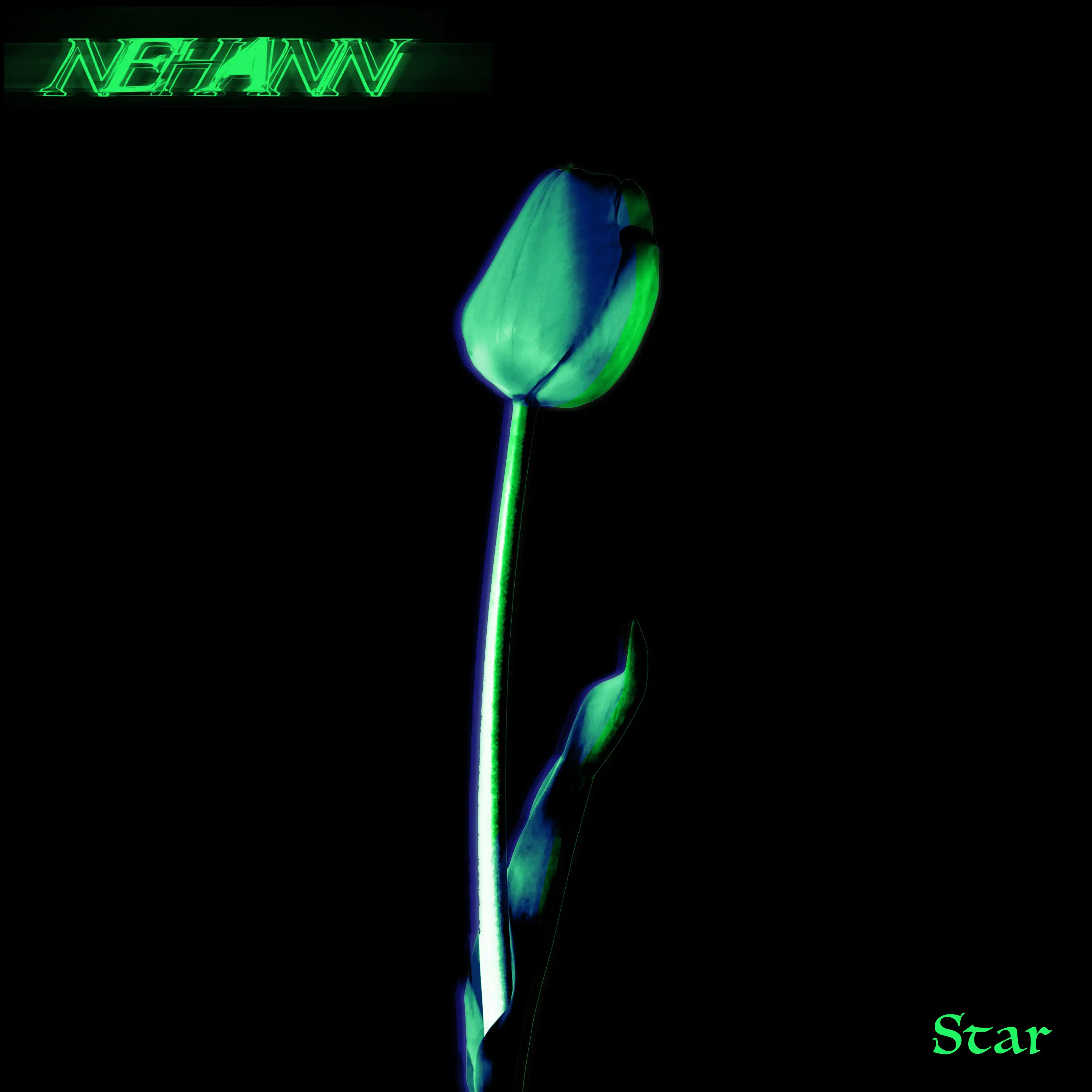 NEHANN / STARのアナログレコードジャケット (準備中)