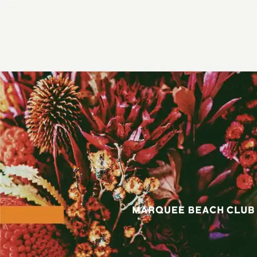 MARQUEE BEACH CLUB / HOME  YOU