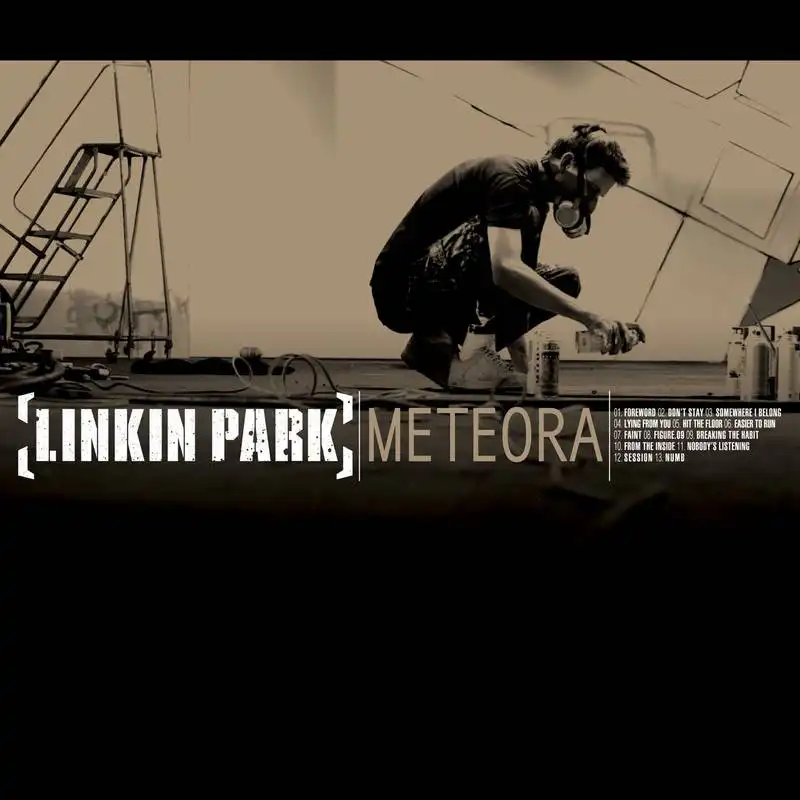 LINKIN PARK / METEORAΥʥ쥳ɥ㥱å ()