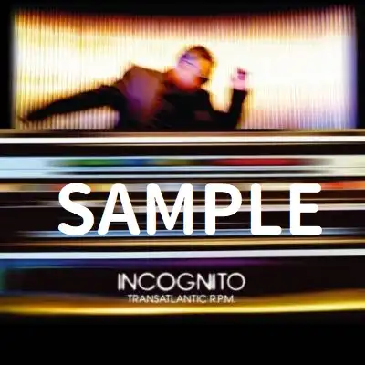 INCOGNITO / LOWDOWN ／ TO PROVE MY LOVE