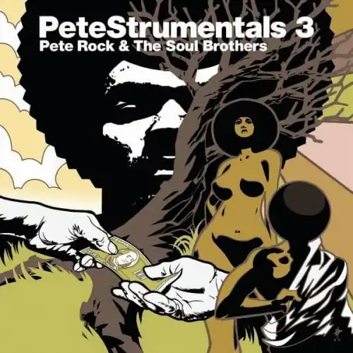 PETE ROCK & THE SOUL BROTHERS / PETESTRUMENTALS 3Υʥ쥳ɥ㥱å ()