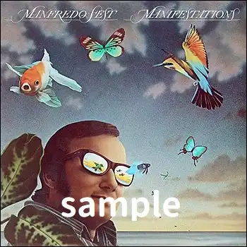 MANFREDO FEST / WHO NEEDS IT ／ JUNGLE KITTEN