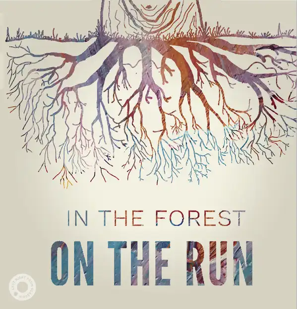 IN THE FOREST ／ NICOL & ELLIOTT / ON THE RUN ／ STORM