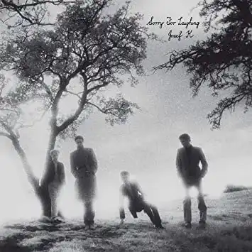 JOSEF K / SORRY FOR LAUGHINGΥʥ쥳ɥ㥱å ()